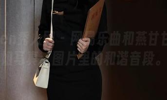Xiuren秀人网 – 网易乐曲和燕甘甘的空姐写真：图片里的和谐音段。
